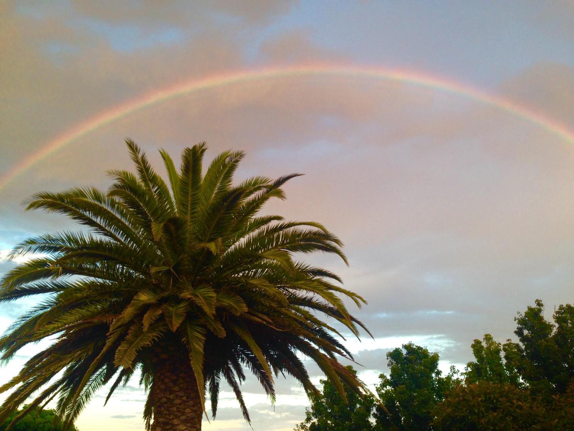 S T U D I O 22 Peaceful Retreat With Garden Views Appartement Port Lincoln Buitenkant foto