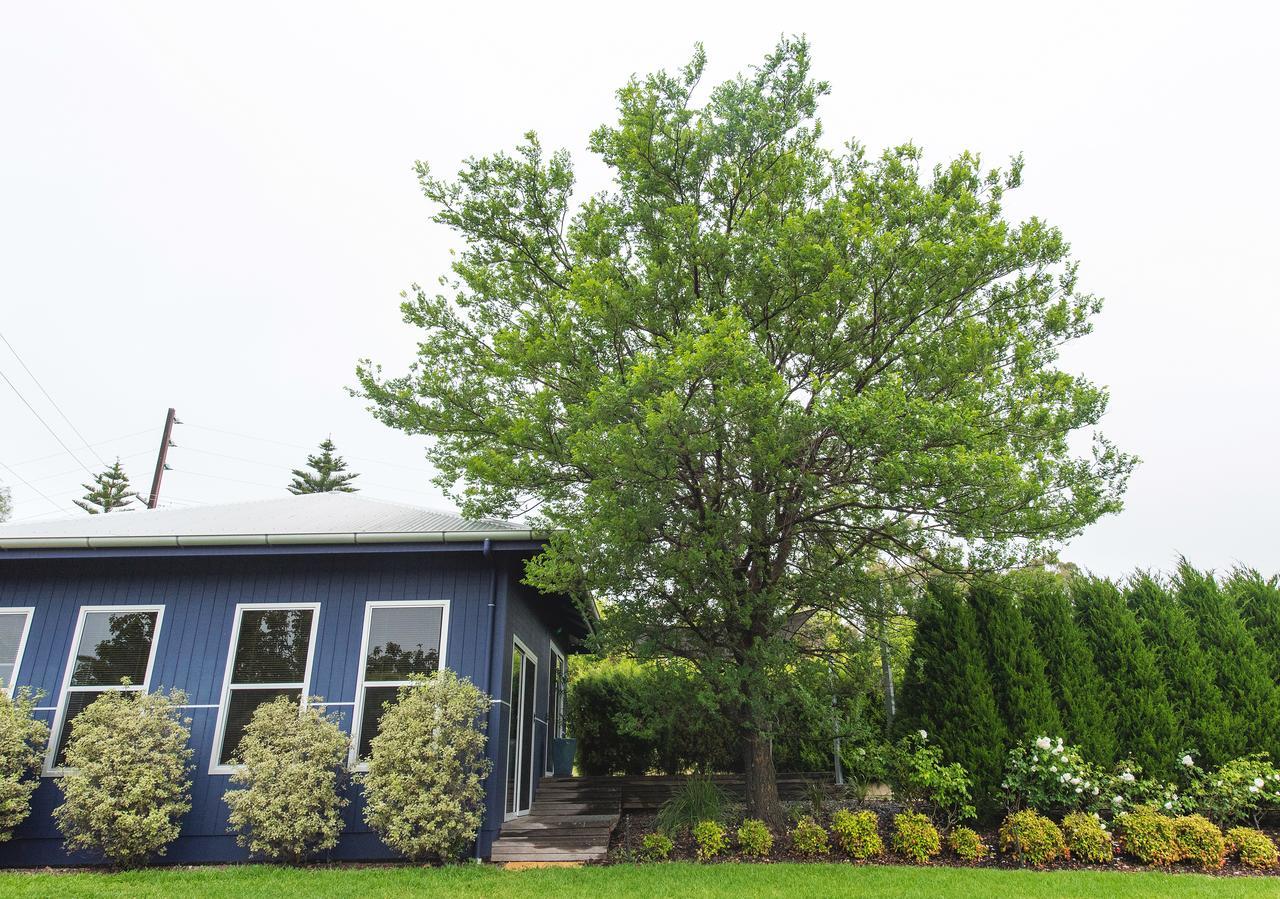 S T U D I O 22 Peaceful Retreat With Garden Views Appartement Port Lincoln Buitenkant foto